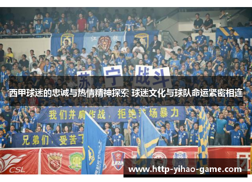 西甲球迷的忠诚与热情精神探索 球迷文化与球队命运紧密相连