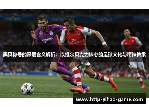 黑贝称号的深层含义解析：以维尔贝克为核心的足球文化与精神传承